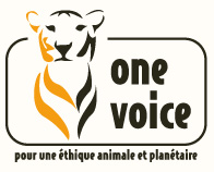Logo-One-Voice
